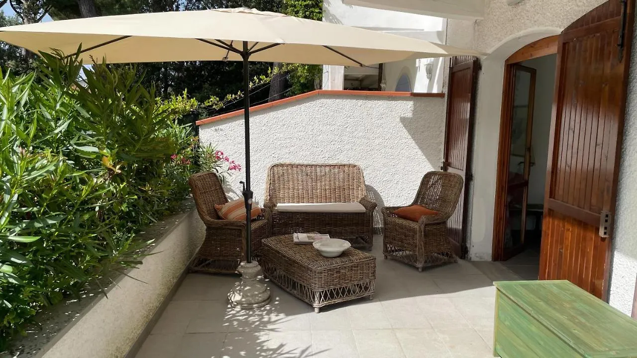 Villa Ivano Forte dei Marmi Holiday home